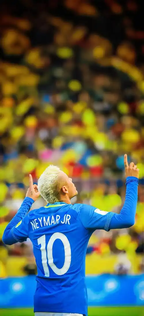 除了传统豪 除了传统豪